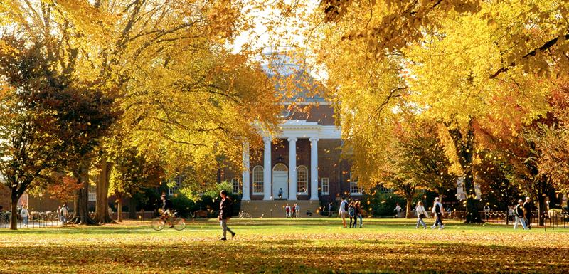 UD in the fall